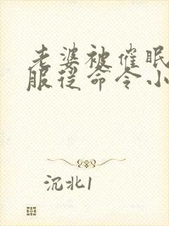 老婆被催眠洗脑服从命令小说封面