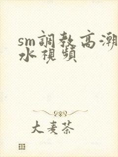 sm调教高潮喷水视频