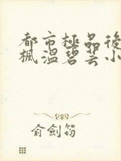 都市极品后宫唐枫温碧芸小说