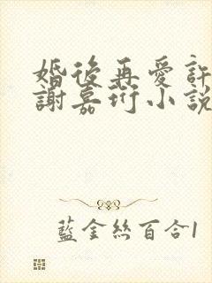 婚后再爱许栀清谢嘉珩小说免费阅读封面