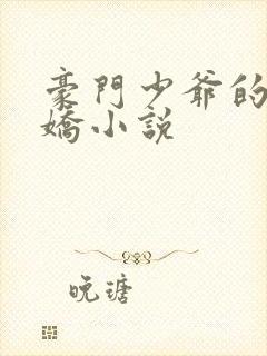 豪门少爷的掌心娇小说