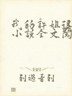 我的许姐很温柔小说全文阅读