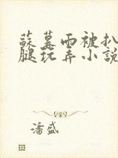 苏暮雨被扒开双腿玩弄小说