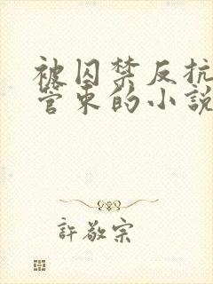 被囚禁反抗逃跑管束的小说