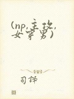 (np,主攻,女穿男)
