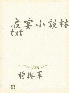 夜宴小说林光曦txt