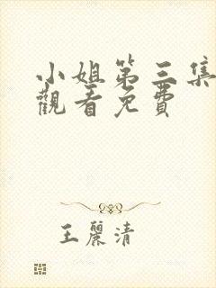 小姐第三集在线观看免费