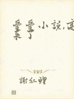 爱爱小说,高潮来了