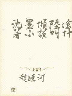 沈墨倾陆沧鸣原著小说叫什么