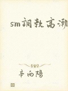sm调教高潮h封面