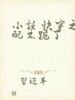 小说 快穿之女配又跪了