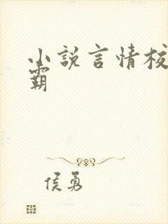 小说言情校园校霸