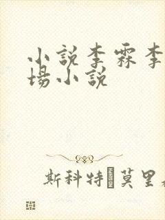 小说李霖李澜官场小说封面