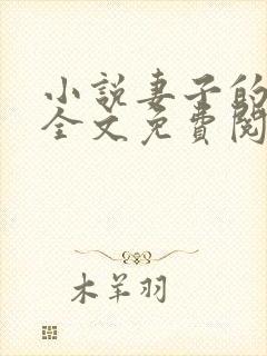 小说妻子的秘密全文免费阅读全文