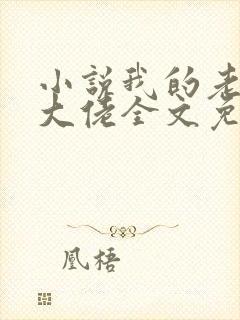 小说我的老公是大佬全文免费阅读封面