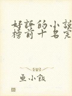 好评的小说排行榜前十名完结