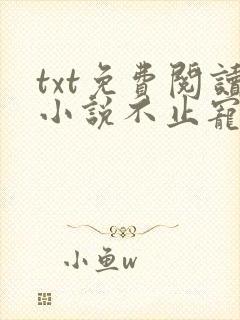 txt免费阅读小说不止宠爱
