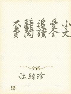 不辞追爱小说免费阅读全文最新章节