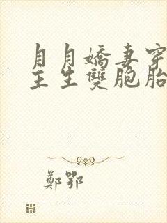 月月娇妻穿越女主生双胞胎