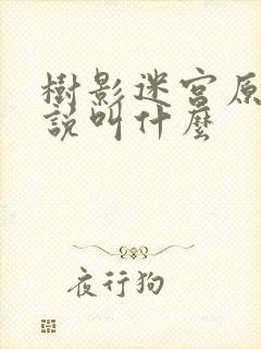 树影迷宫原著小说叫什么