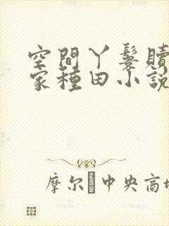 空间丫鬟赎身回家种田小说