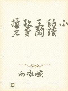 摄政王的小殿下免费阅读