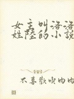 女主叫洛洛男主姓陆的小说