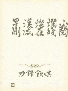 星汉灿烂小说无删减在线阅读