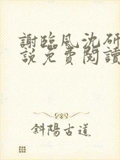 谢临风沈研卿小说免费阅读最新章节