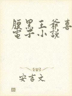 腹黑王爷喜当爹电子小说