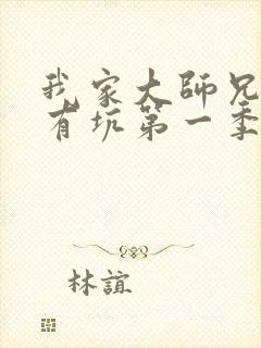 我家大师兄脑子有坑第一季免费观看全集封面