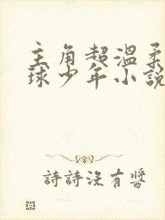 主角超温柔的排球少年小说