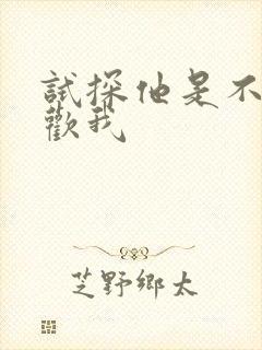 试探他是不是喜欢我封面