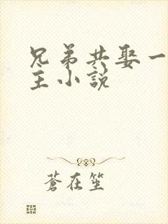 兄弟共娶一个妻主小说封面