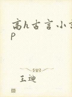 高h古言小说np封面