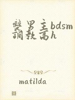 双男主bdsm调教高h