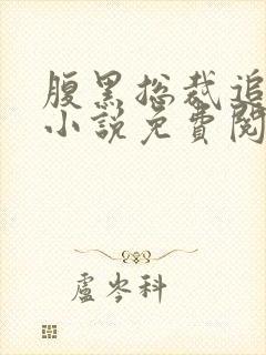 腹黑总裁追妻忙小说免费阅读封面