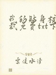 我的贴身校花总裁免费txt下载封面