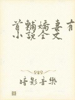 首辅娇妻有空间小说全文封面