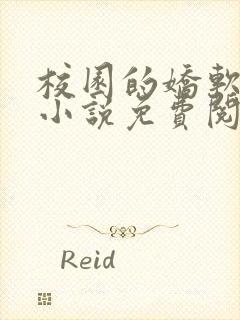 校园的娇软美人小说免费阅读冷门文封面