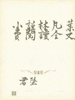 小说林凡叶惜免费阅读全文