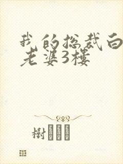 我的总裁白富美老婆3楼