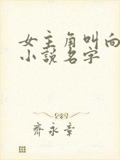 女主角叫向暖的小说名字封面