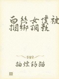 白丝女仆被主人捆绑调教封面