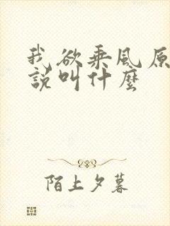 我欲乘风原著小说叫什么