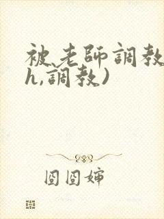 被老师调教(高h,调教)