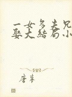 一女多夫兄弟共娶大结局小说封面