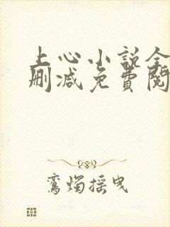 上心小说全文无删减免费阅读