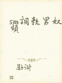 sm调教男奴视频