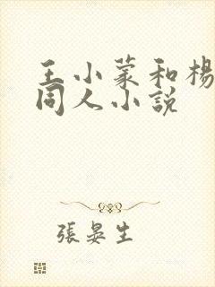 王小蒙和杨晓燕同人小说